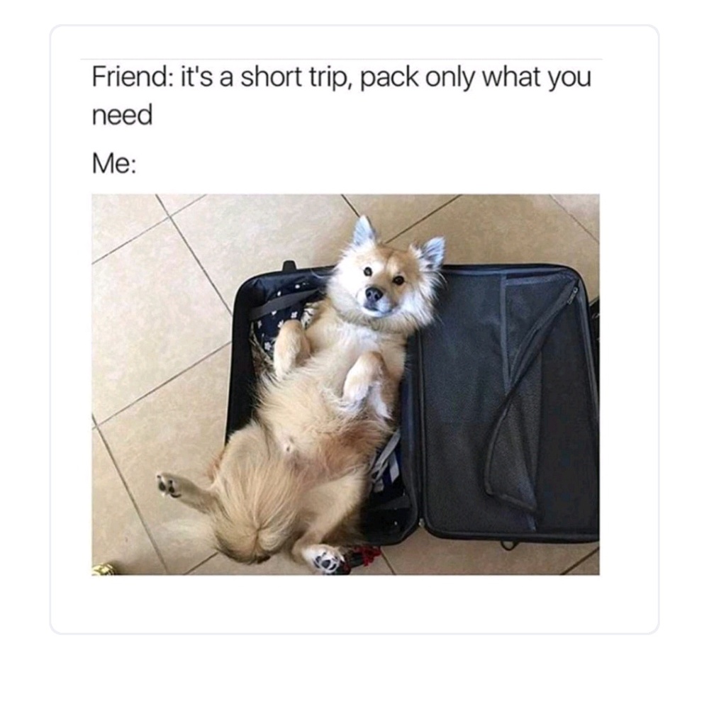 Meet your Posher, Noel